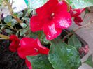 DSCN1587