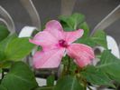 DSCN1592