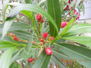 DSCN3623