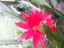 DSCN3619