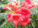 DSCN3625