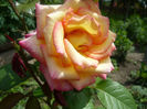 Picture 025