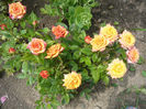 Picture 030
