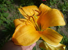 Picture 022