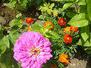 Picture 009
