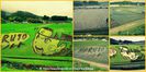 1005259_585628551477526_2090535004_n