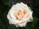 PICT0282