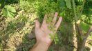 DSC00404