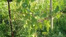 DSC00408
