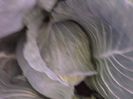 DSCF0894