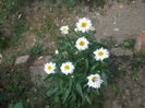 DSCF1998