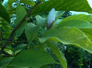 DSCF5012