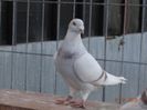84677604_RQRYGFO3