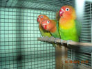 DSCN0117