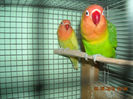 DSCN0121
