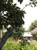 DSCF3445