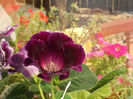 DSCN9306_4763