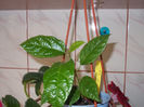 DSCN9276_4733