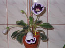 DSCN9281_4738