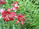 P1018444