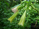 P1018448