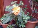 20130628_140256