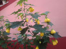 20130628_140328