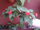 20130628_140500
