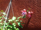 20130628_140546