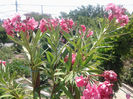 20130628_140803