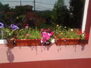20130628_140809