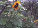 28-06-13_1114