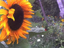 28-06-13_1113
