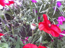 28-06-13_1122