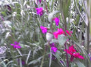 28-06-13_1123