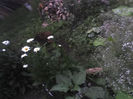28-06-13_1125