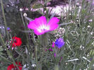 28-06-13_1126