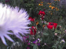 28-06-13_1128