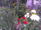 28-06-13_1130