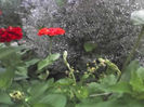 28-06-13_1137