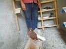 iunie 2013 416