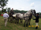 concurs hipic Beclean 30.06.2013 056