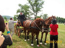 concurs hipic Beclean 30.06.2013 059