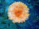 IMG-20130629-01013