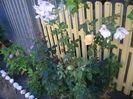 SDC14012