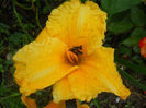 DSCN6207