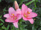 DSCN6221
