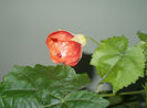 P1450563