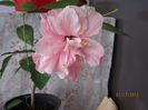 Picture 034