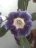 Imag0479
